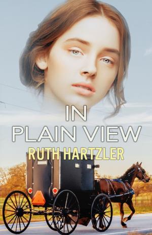 Cover of In Plain View: Christian Romantic Suspense