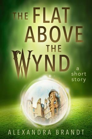 Cover of the book The Flat Above the Wynd by Alexandra Brandt