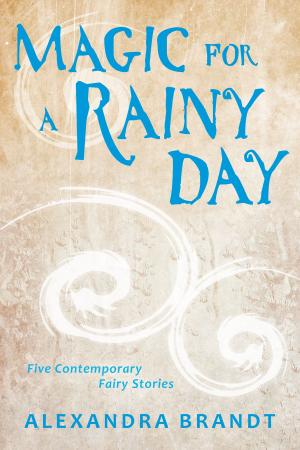 Cover of the book Magic for a Rainy Day by Alexandra Brandt