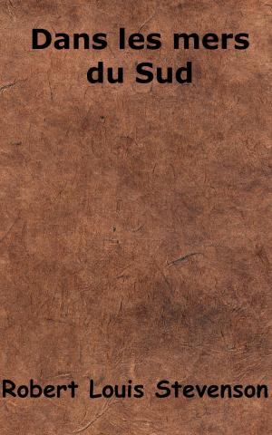Cover of the book Dans les mers du Sud by Théophile Gautier