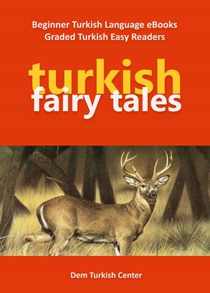 Book cover of Turkish Fairy Tales
