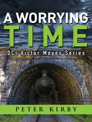 Cover of the book A Worrying Time by Cathy Spencer