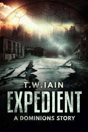 Book cover of Expedient