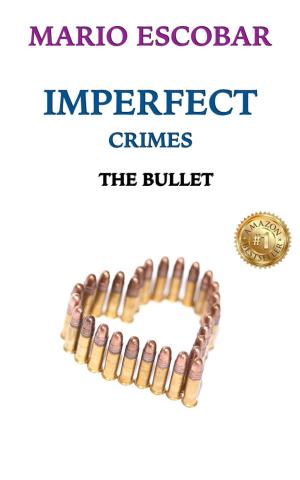 Cover of the book The Bullet by Rachel Maeder