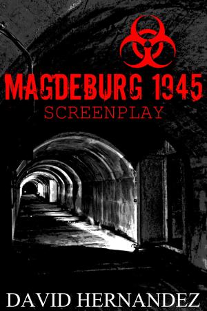 Cover of Magdeburg 1945