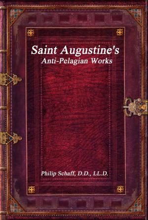 bigCover of the book Saint Augustine's Anti-Pelagian Works by 