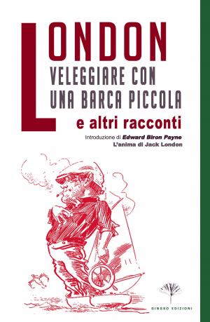 Cover of the book Veleggiare con una barca piccola (e altri racconti) by Riccardo Maffey