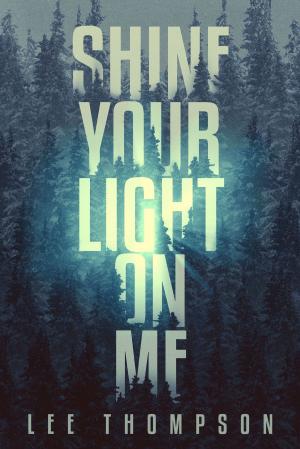 bigCover of the book Shine Your Light on Me by 