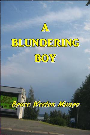 Book cover of A Blundering Boy
