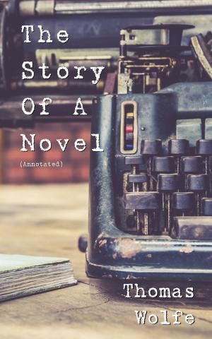 Book cover of The Story of a Novel