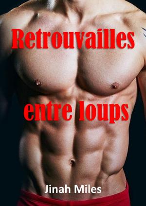 Book cover of Retrouvailles entre loups