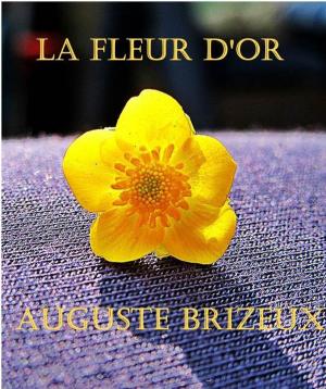 Cover of the book La fleur d'or (Les ternaires : annoté avec préface) by Paul d'Ivoi
