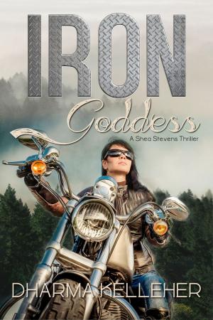 Cover of the book Iron Goddess by B. L. Blair