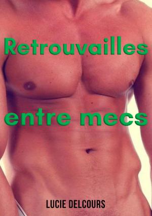 Cover of the book Retrouvailles entre mecs by Lucie Delcours