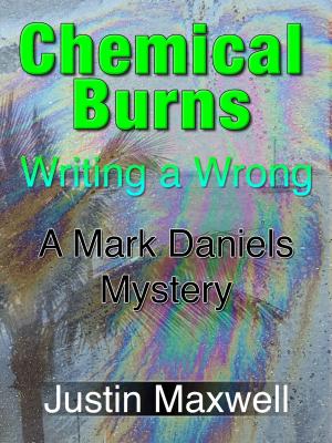 Book cover of Chemical Burns