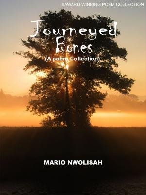 bigCover of the book JOURNEYED BONES by 