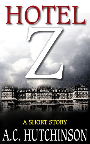 Book cover of Hotel Z: A Short Story