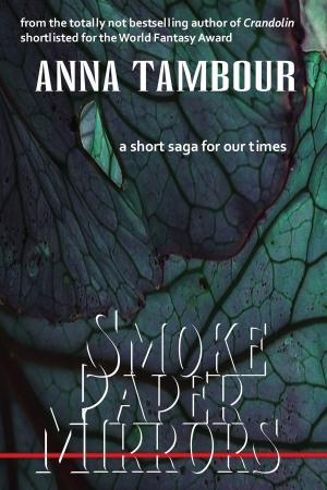 Book cover of Smoke Paper Mirrors