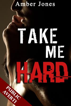 bigCover of the book Take Me Hard + Histoire BONUS by 