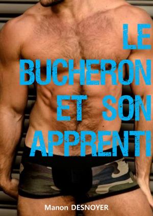 Book cover of Le bûcheron et son l'apprenti