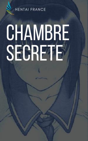 Cover of the book Chambre secrète by Hentai France