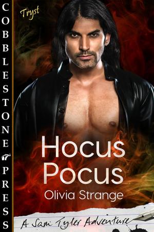 Cover of the book Hocus Pocus by KayDee Severson