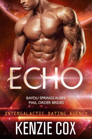 Cover of the book Echo by Brenda Gartin