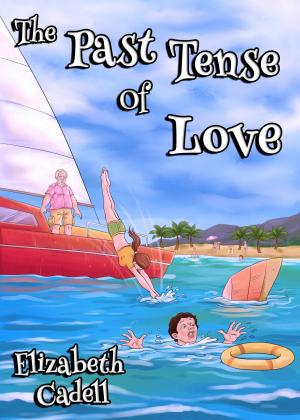 Book cover of Past Tense of Love