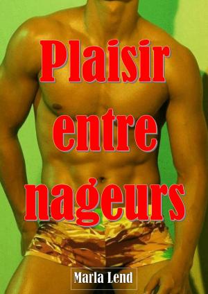 Cover of the book Plaisir entre nageurs by Mickael Lecomte