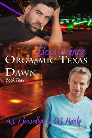 Cover of the book Slow Dance by Tere Michaels