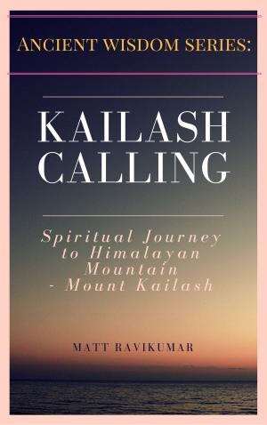 Book cover of Kailash Calling