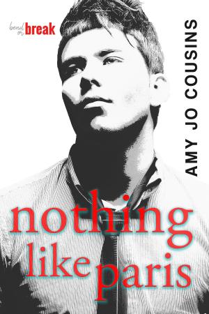 Book cover of Nothing Like Paris