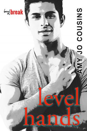 Book cover of Level Hands