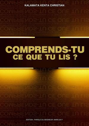 Cover of COMPRENDS-TU CE QUE TU LIS?