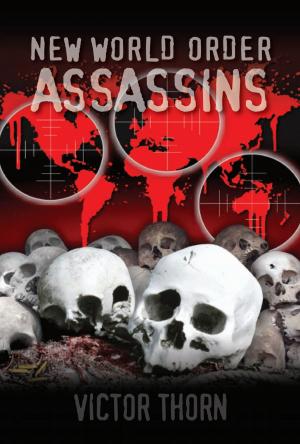 Cover of the book New World Order Assassins by Neil Kalter
