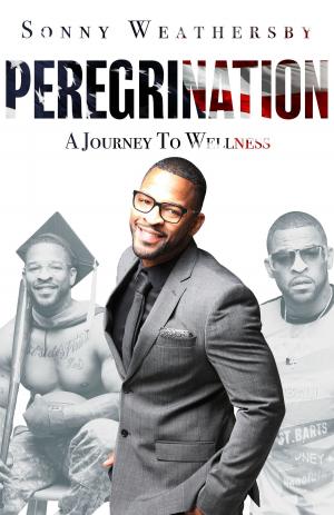Book cover of Peregrination