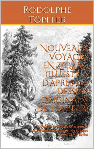 bigCover of the book NOUVEAUX VOYAGES EN ZIGZAG (Illustrés d'après les dessins originaux de TÖPFFER) by 