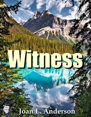 Cover of the book Witness by S.L. Gape