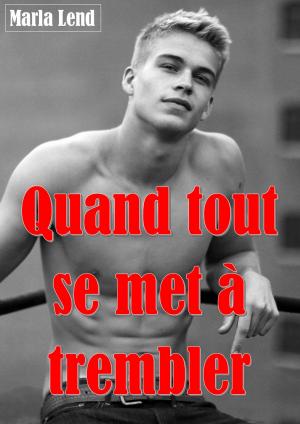 Cover of the book Quand tout se met à trembler by The SMUT Project