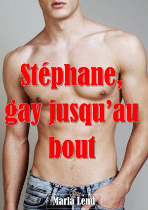 Cover of the book Stéphane gay jusqu'au bout by Carey Decevito