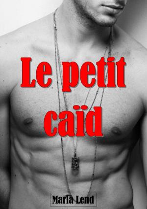 Cover of the book Le petit caïd by Marion Landri