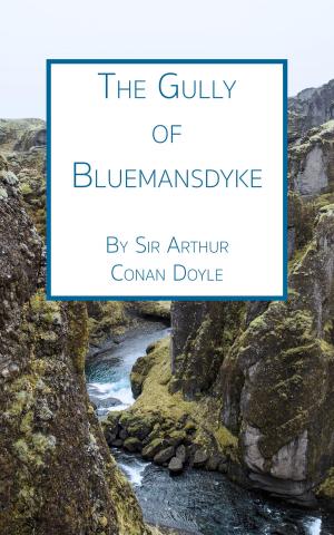 Cover of the book The Gully of Bluemansdyke by Jules Verne
