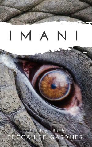 Cover of the book Imani by Dan Ames