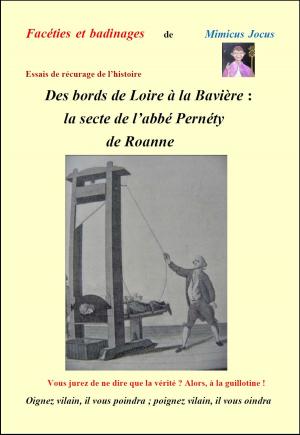 Book cover of Des bords de Loire à la Bavière : la secte de l’abbé Pernéty de Roanne