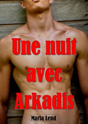Book cover of Une nuit avec Arkadis