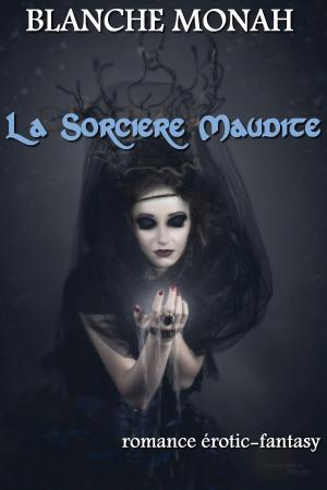 bigCover of the book La Sorcière Maudite by 