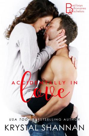 Cover of the book Accidentally In Love by Donna June Cooper