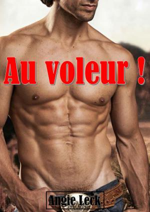 Cover of the book Au voleur ! by Agathe Legrand