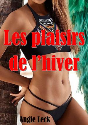 Cover of the book Les plaisirs de l'hiver by Angie Leck