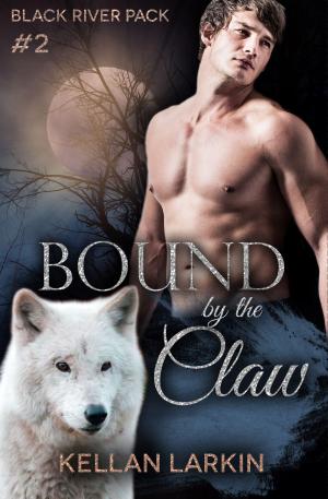 Cover of the book Bound by the Claw by Kellan Larkin